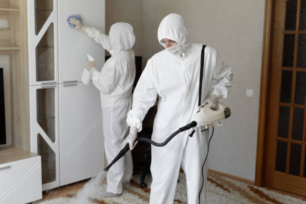 Best Mold Testing and Inspection Services in Mineola, NY