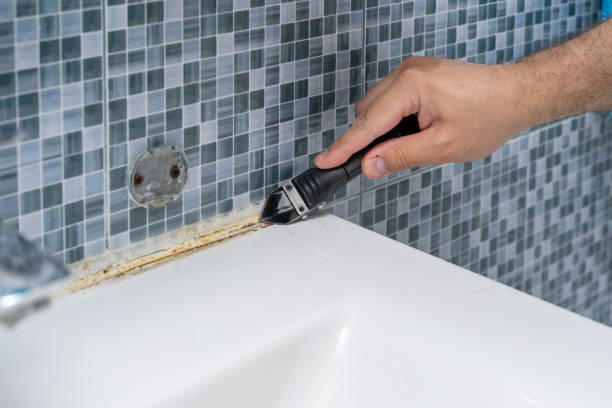 Best Basement Mold Remediation in Mineola, NY